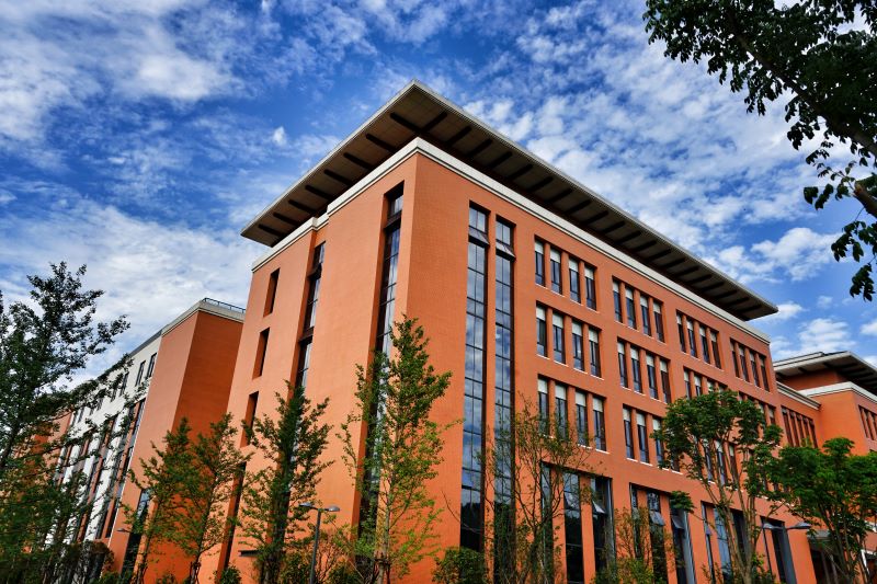 董事长讲话、文化落地（务实）学习心得