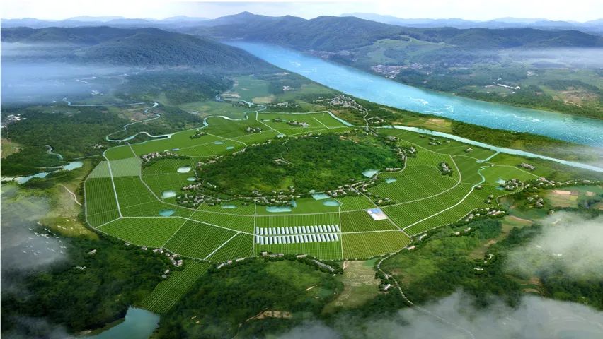 Green Development Plan of Agriculture for 14th Five-Year Plan: The Utilization Rate of Chemical Fertilizers and Pesticides Will Increase to 43% in 2025